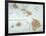 Map: Hawaii, 1905-null-Framed Giclee Print