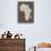 Map of Africa Map, Text Art-Michael Tompsett-Stretched Canvas displayed on a wall