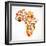 Map Of Africa With Icons-Marish-Framed Art Print