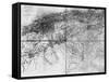 Map of Algeria, 1876-null-Framed Stretched Canvas