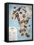 Map of Animals in Africa Sf-Janos Balint-Framed Stretched Canvas