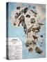 Map of Animals in Africa Sf-Janos Balint-Stretched Canvas