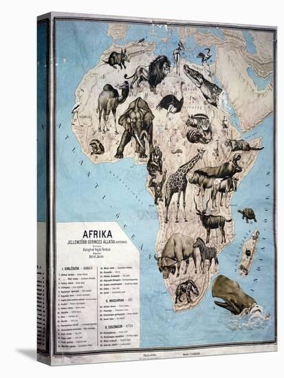 Map of Animals in Africa Sf-Janos Balint-Stretched Canvas