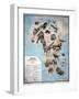 Map of Animals in Africa Sf-Janos Balint-Framed Giclee Print