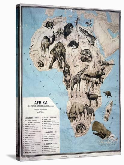 Map of Animals in Africa Sf-Janos Balint-Stretched Canvas