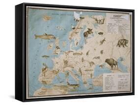 Map of Animals in Europe-Janos Balint-Framed Stretched Canvas