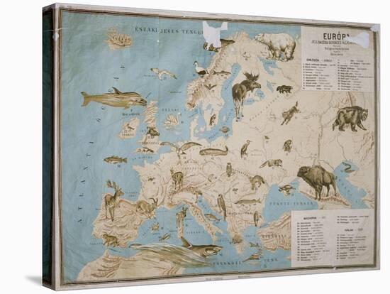 Map of Animals in Europe-Janos Balint-Stretched Canvas