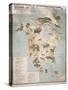 Map of Animals in North America-Janos Balint-Stretched Canvas