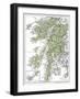 Map of Argyllshire, 1924-1926-null-Framed Giclee Print