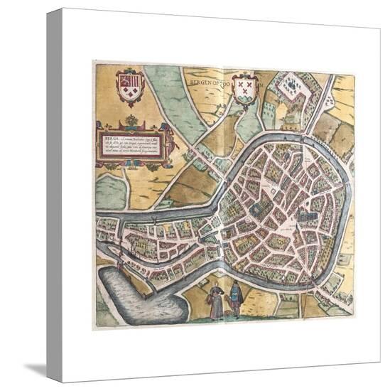 Stretched Canvas Print, , large