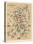 Map of Berlin, Published by Carl Glueck Verlag, Berlin, 1860-German School-Stretched Canvas