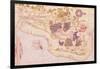 Map of Brasil, from "Cosmographie Universelle", 1555-Guillaume Le Testu-Framed Giclee Print