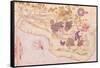 Map of Brasil, from "Cosmographie Universelle", 1555-Guillaume Le Testu-Framed Stretched Canvas