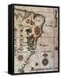 Map of Brazil, 1561-null-Framed Stretched Canvas