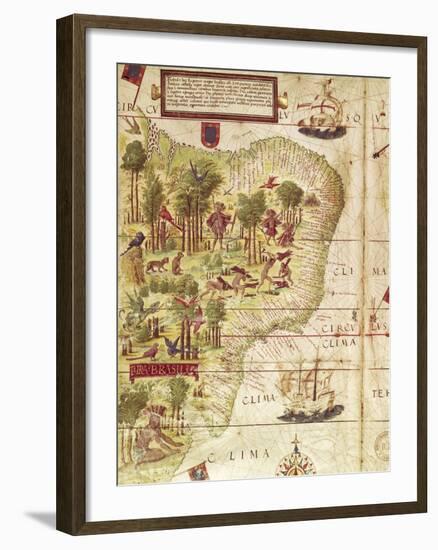Map of Brazil, from Miller Atlas by Pedro and Jorge Reinel, Lopo Homen-null-Framed Giclee Print