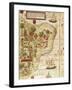 Map of Brazil, from Miller Atlas by Pedro and Jorge Reinel, Lopo Homen-null-Framed Giclee Print