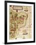 Map of Brazil, from Miller Atlas by Pedro and Jorge Reinel, Lopo Homen-null-Framed Giclee Print