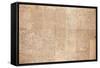 Map of Cairo, a Bird'S-Eye View, 1549-null-Framed Stretched Canvas