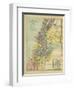 Map of Canaan-Philip Richard Morris-Framed Giclee Print