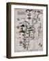 Map of Central and Southern America and Cuba, Hispaniola and Puerto Rico Islands-Lazaro Luis-Framed Giclee Print