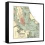 Map of Charleston (C. 1900), Maps-Encyclopaedia Britannica-Framed Stretched Canvas