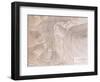 Map of City of Mycenae from Mycenae Greece, 1878-Hendrick Mommers-Framed Giclee Print