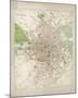 Map of Dublin-The Vintage Collection-Mounted Giclee Print