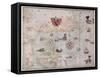 Map of Eastern North America: Florida to Chesapeake Bay-John White-Framed Stretched Canvas