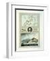 Map of Elba, View of Porto Ferraio with Portrait of Napoleon and Signature, c.1815-null-Framed Giclee Print