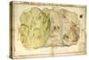 Map of Fields of Amarosa and Ramusa in Area of Villafrati Nearby Palermo, Sicily Region, 1829-null-Stretched Canvas