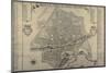 Map of Florence, 1730-Papini-Mounted Giclee Print