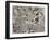 Map of Florence, Detail, 1843 and 1866 (Engraving) (Detail of 100310)-Fantozzi-Framed Giclee Print