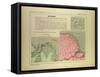 Map of French Guiana-null-Framed Stretched Canvas