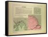 Map of French Guiana-null-Framed Stretched Canvas