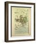 Map of Gard France-null-Framed Giclee Print