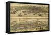 Map of Genoa and Florence from Civitates Orbis Terrarum-null-Framed Stretched Canvas