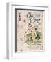 Map of Great Britain, Europe and North West Africa, from Portugaliae Monumenta Cartographica-Luis Lazaro-Framed Giclee Print