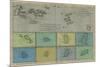 Map of Greater and Lesser Antilles-Vision Studio-Mounted Art Print