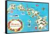 Map of Hawaii-null-Framed Stretched Canvas