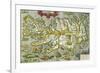 Map of Iceland, 1585-null-Framed Giclee Print