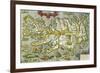 Map of Iceland, 1585-null-Framed Giclee Print