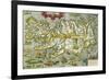 Map of Iceland, 1585-null-Framed Giclee Print