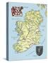 Map of Ireland-null-Stretched Canvas