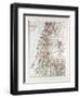 Map of Israel Jerusalem the Southern Part of Syria Lebanon the Western Part of Jordan 1899-null-Framed Premium Giclee Print