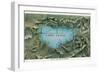 Map of Lake Tahoe Highways-null-Framed Art Print