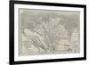 Map of Lower Egypt, Showing the Lines of Railway and Projected Isthmus of Suez Canal-John Dower-Framed Giclee Print