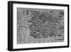 Map of Madrid-null-Framed Giclee Print