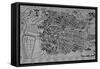 Map of Madrid-null-Framed Stretched Canvas