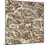 Map of Madrid-F. de Witt-Mounted Art Print