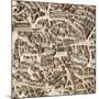 Map of Madrid-F. de Witt-Mounted Art Print